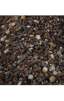 Karışık Kemirgen Yemi Hamster Ginepik Tavşan Yemi 10 Kg Karışık Kemirgen Yemi Hamster Ginepik Tavşan Yemi 10 Kg