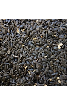 Papağan Çekirdek Yemi 500 G Ufak Taneli