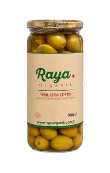 5 Adet Raya Organik Yeşil Çizik Zeytin 300 G 5 Adet Raya Organik Yeşil Çizik Zeytin 300 G