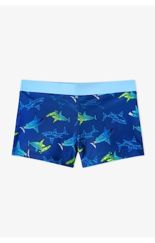 Penti Renkli Erkek Çocuk Gradient Shark Trunk Mayo
