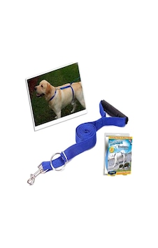 İnstant Köpek Yürüme Ve Eğitim Tasması İnstant Köpek Yürüme Ve Eğitim Tasması
