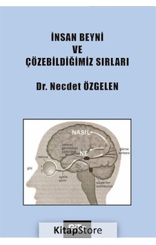 İnsan Beyni ve Çözebildiğimiz Sırları / Dr. Necdet Özgelen
