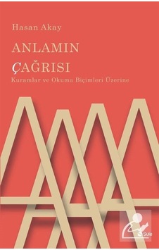 Anlamın Çağrısı - Hasan Akay - Şule Yayınları