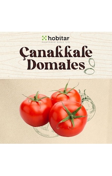Hobitar Çanakkale Tarla Domates Tohumu Hobitar Çanakkale Tarla Domates Tohumu