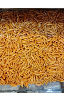 Talas Kuruyemiş Kakino Japon Soslu Pirinç Kraker 1 KG Talas Kuruyemiş Kakino Japon Soslu Pirinç Kraker 1 KG