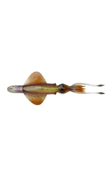 Savage Gear Swim Squid Rtf 25cm 200gr Silikon Yem Renk : Horny Squid Savage Gear Swim Squid Rtf 25cm 200gr Silikon Yem Renk : Horny Squid