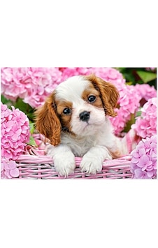 Castorland 180 Parça Pup İn Pink Flowers Puzzle Castorland 180 Parça Pup İn Pink Flowers Puzzle