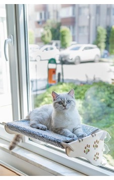 Cama Asılan Vantuzlu Kedi Yatağı Gri, X-large Cama Asılan Vantuzlu Kedi Yatağı Gri, X-large
