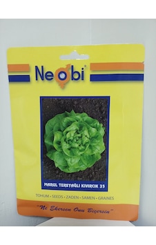 Neobi Tereyağlı Kıvırcık Marul Tohumu 10 Gr 1 Adet Neobi Tereyağlı Kıvırcık Marul Tohumu 10 Gr 1 Adet
