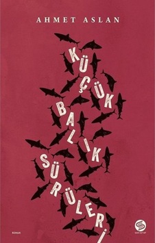 Küçük Balık Sürüleri - Ahmet Aslan - Sahi Kitap