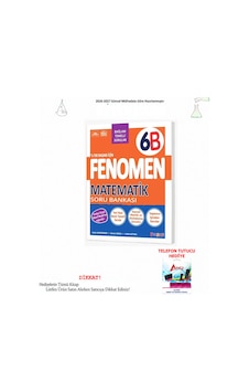 Fenomen 6 Matematik B Soru Bankası 6-015