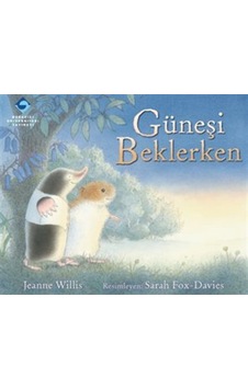 Güneşi Beklerken / Jeanne Willis