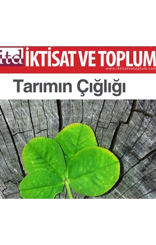 İktisat Ve Toplum Dergisi 82. Sayı