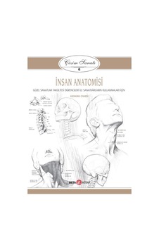 Çizim Sanatı 6 Insan Anatomisi Çizim Sanatı 6 Insan Anatomisi