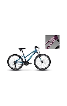 Carraro Force 401 Kadın Dağ Bisikleti 325h V 24 Jant 21 Vites Mat Mürdüm Pembe Çok Renkli Carraro Force 401 Kadın Dağ Bisikleti 325h V 24 Jant 21 Vites Mat Mürdüm Pembe Çok Renkli