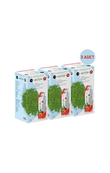 Premium Japanese Çilek Aromalı Detox Burner Form Matcha Çayı 3 Kutu