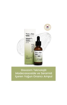 Madecassoside Ceramide Exosome-b Ampoule / Madecassoside Ve Seramid İçeren Yoğun Onarıcı Ampul