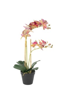 Fuşya Limoni Yapay Orkide, Saksılı Dekoratif Çiçek, İkili Dal, 53 Cm, Ev Dekorasyonu İçin Çok Renkli