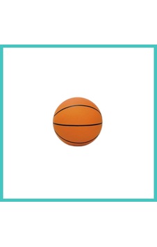 Ny Joy Basketbol Topu 1 Adet Nyjoybz