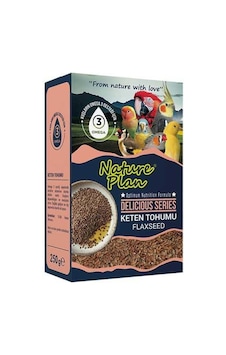 Nature Plan Delicious Serisi Keten Tohumu 250 G