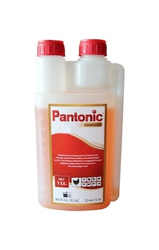 Pantonic 1 Lt Kanatlılar Için Multivitamin Pantonic 1 Lt Kanatlılar Için Multivitamin
