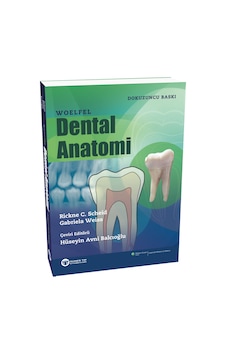 Woelfel Dental Anatomi