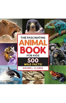 The Fascinating Animal Book For Kids 500 Wild Facts - Fascinating Facts Ciltli Rockridge Press The Fascinating Animal Book For Kids 500 Wild Facts - Fascinating Facts Ciltli Rockridge Press