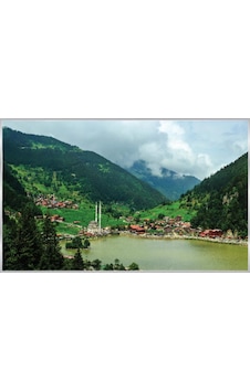Poster Duvar Kağıdı 1064 8 Parça 3.68mt X 2.54mt Renkli Poster Duvar Kağıdı 1064 8 Parça 3.68mt X 2.54mt Renkli