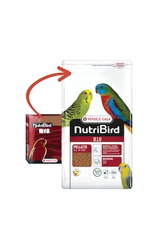 Nutrıbırd - 571 - B18 Muhabbet Pelet Yem - Aconcept - 3 Kg Nutrıbırd - 571 - B18 Muhabbet Pelet Yem - Aconcept - 3 Kg
