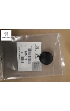 Silecek Kol Somun Kapağı Peugeot 6405.qf Silecek Kol Somun Kapağı Peugeot 6405.qf