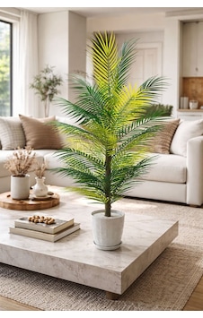100 Cm Areka Palmiyesi Yeşil 100 Cm Areka Palmiyesi Yeşil
