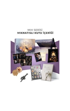 Mıh Serisi Dört Kitaplık Kutu / Mehsa