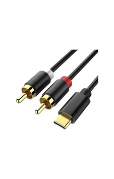Powermaster Pm-29963 2xrca To Type-c 2 Metre Kablo