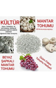 Ekim Torbası Ve Eğitim Kılavuzu Hediyeli 100 Gr Beyaz Şapkalı Kültür Mantarı Tohumu Ekim Torbası Ve Eğitim Kılavuzu Hediyeli 100 Gr Beyaz Şapkalı Kültür Mantarı Tohumu