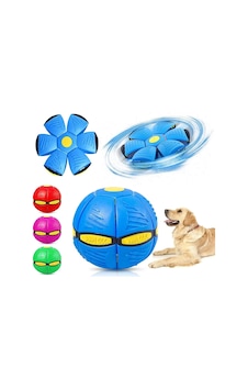 River World Evcil Hayvan Topu Frizbi Işıklı Zıplayan River World Evcil Hayvan Topu Frizbi Işıklı Zıplayan