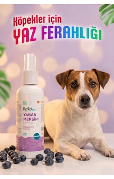 Reflex Care Yaban Mersini Kokulu Köpek Kolonyası 125 Ml Reflex Care Yaban Mersini Kokulu Köpek Kolonyası 125 Ml