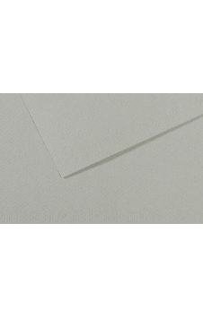 Canson Fon Kartonu Dokulu Mı-teıntes Sh Canmt 50x65 160 Gr Grey 354 Canson Fon Kartonu Dokulu Mı-teıntes Sh Canmt 50x65 160 Gr Grey 354