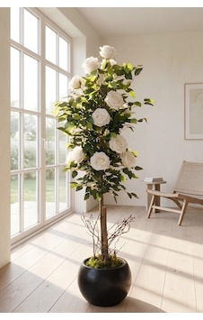 Yapay 10 Güllü Beyaz Gül Ağacı 150 Cm 27x33 Siyah Küre Saksılı Yapay 10 Güllü Beyaz Gül Ağacı 150 Cm 27x33 Siyah Küre Saksılı