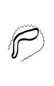 Bb Wikiki 2'li Erkek Saç Tokası Zigzag Metal Taç Siyah Lastikli Saç Bantı Yogo Bandı Çok Renkli Bb Wikiki 2'li Erkek Saç Tokası Zigzag Metal Taç Siyah Lastikli Saç Bantı Yogo Bandı Çok Renkli
