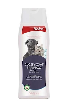 Bioline - 462 - Yağlı Tüylü Kedi Ve Köpek Şampuanı - Flzdgnkr - 250 Ml Bioline - 462 - Yağlı Tüylü Kedi Ve Köpek Şampuanı - Flzdgnkr - 250 Ml