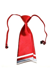 Ocean Pole Bayan Kravat Kırmızı Kırmızı