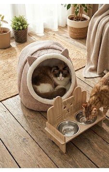 İsim Yazılabilir Kulaklı Mama Kabı Ve Keçe Kedi Ve Küçük Irk Köpek Evi Seti Bej İsim Yazılabilir Kulaklı Mama Kabı Ve Keçe Kedi Ve Küçük Irk Köpek Evi Seti Bej