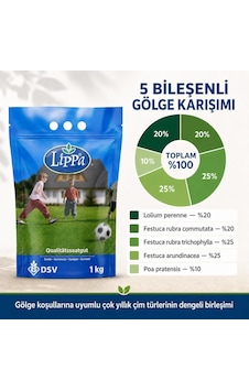 Lippa Pro Shadow 5s Gölge Alan Çim Tohumu, Ağaç Altı Ve Yarı Gölge İçin 5 Bileşenli Karışım, 1 Kg