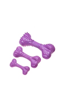 Aquael Comfy Toy Köpek Oyuncağı Dental Bone 12 Cm Mor Lavanta Aromalı Aquael Comfy Toy Köpek Oyuncağı Dental Bone 12 Cm Mor Lavanta Aromalı