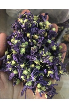 Evçay Ebegümeci Çiçeği 80 G