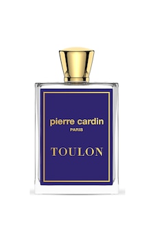 Pierre Cardin Toulon Erkek Parfüm EDT 100 ML Pierre Cardin Toulon Erkek Parfüm EDT 100 ML