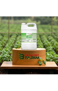 Agrofour Boren Sıvı Bitki Gübresi 5 Lt Agrofour Boren Sıvı Bitki Gübresi 5 Lt