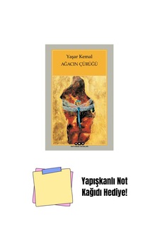 Ağacın Çürüğü + Yapışkanlı Not Kağıdı Ağacın Çürüğü + Yapışkanlı Not Kağıdı