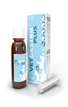 Vetgastril Plus Kedi Ve Köpek İçin Sindirim Destekleyici Özel Formül 100 ML