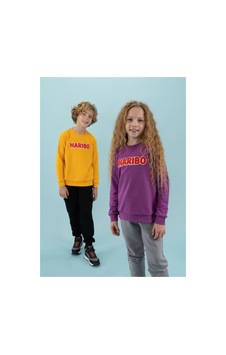 Haribo Lila Kız Çocuk Bisiklet Yaka İşlemeli Sweatshirt Hrbtxt308 Lila Haribo Lila Kız Çocuk Bisiklet Yaka İşlemeli Sweatshirt Hrbtxt308 Lila